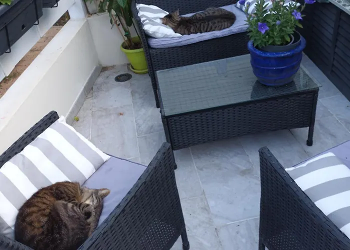 Savane Prestige Esprit Safari Chez Fred * Gorron