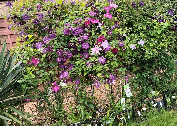 Savane Prestige Esprit Safari Chez Fred Séjour chez l'habitant