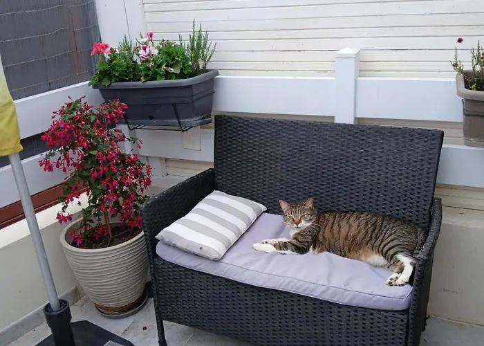 Séjour chez l'habitant Savane Prestige Esprit Safari Chez Fred *